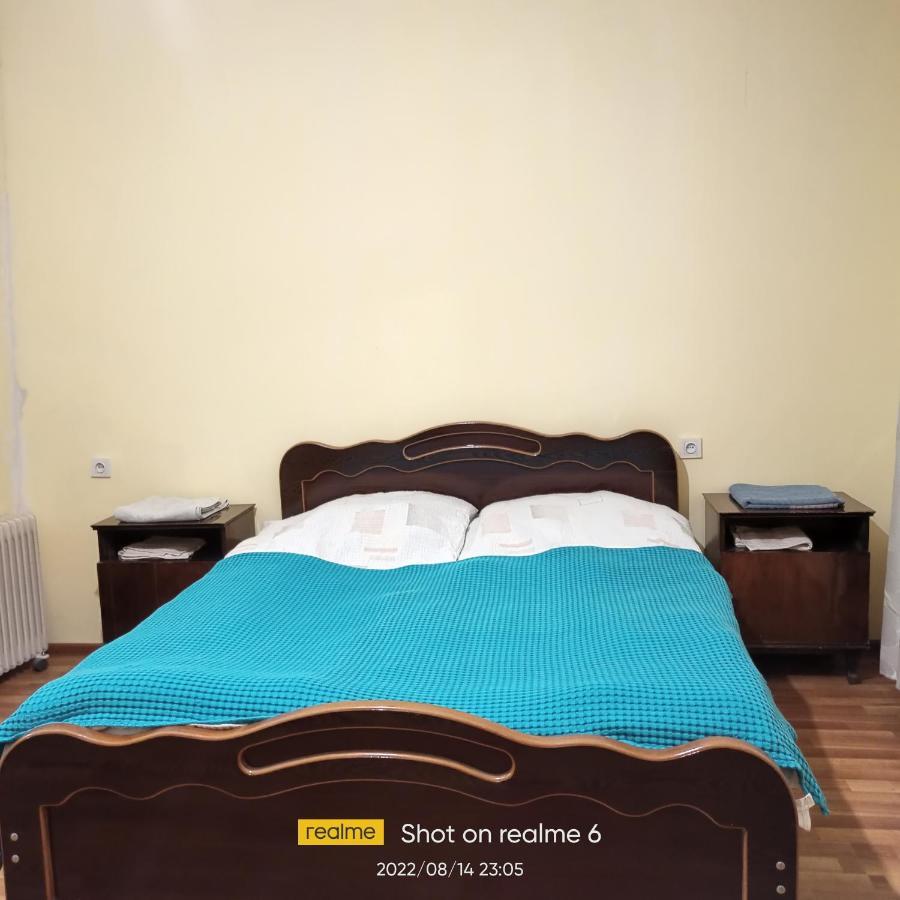Guest House Ketevan Niguriani メスティア エクステリア 写真