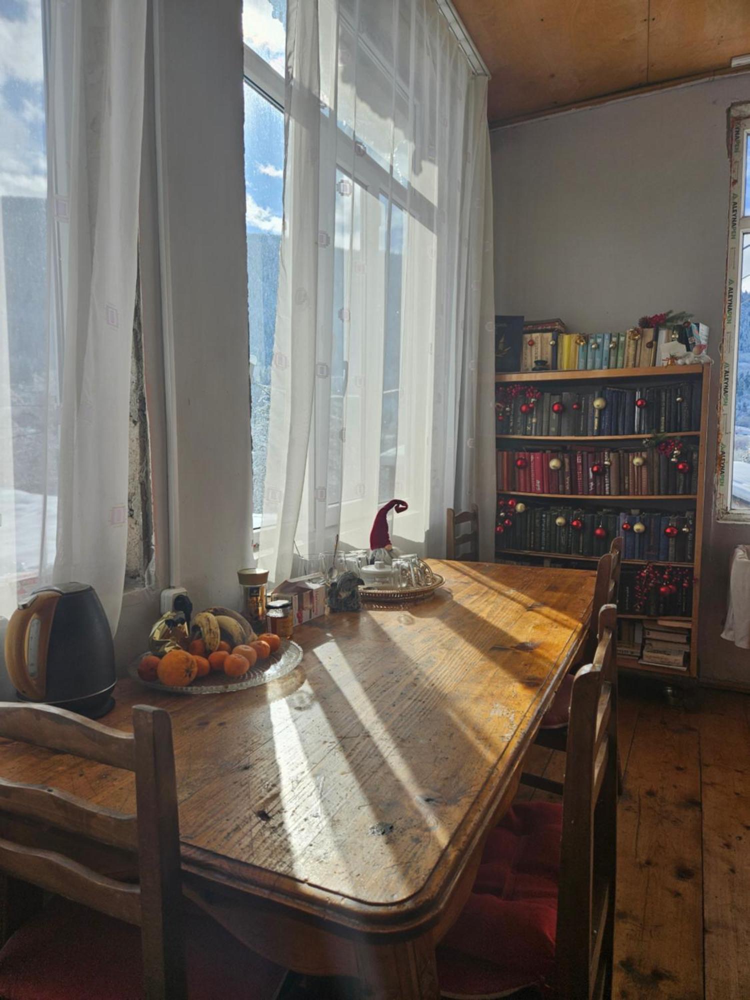 Guest House Ketevan Niguriani メスティア エクステリア 写真